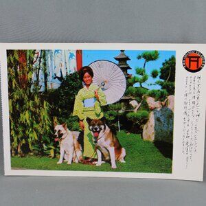 Vintage Postcard - Japanese Village Buena Park Akita Dogs - Continental Card